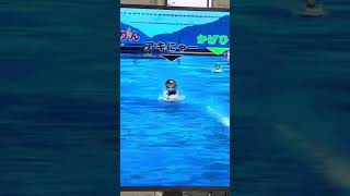 【デットヒートは3-1Mから】２０２５年大会振り返りその1 スピードクイーンメモリアル準優勝戦1R #ボートレース #競艇 #shorts #ボートレースVR #スプラッシュバトル