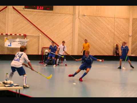 SDF SM Gästrikland P15 2011