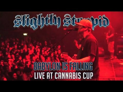 Babylon Is Falling - Slightly Stoopid (Live at Cannabis Cup)