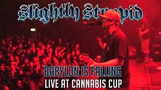Babylon Is Falling - Slightly Stoopid (Live at Cannabis Cup)