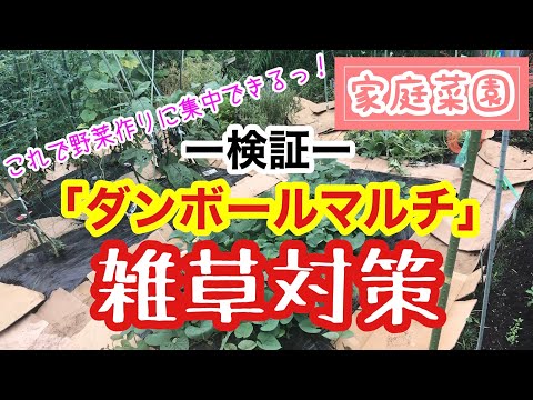 庭で段ボールをどうやって使う？過小評価されない 4 つの賢い使い方  庭園