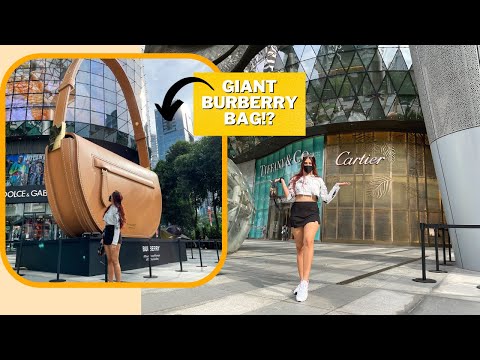 Spend a day with me in Singapore