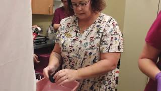 W.W.L.T IBMC College | Casting and Cast Removal | Medical Assisting