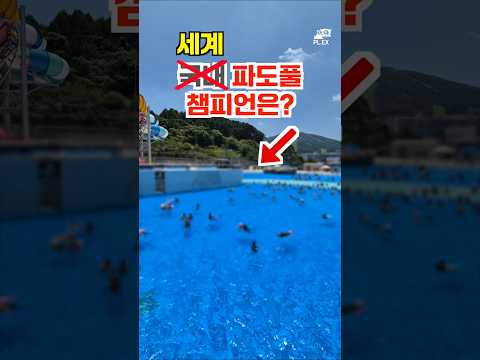 국내 최고의 파도풀: 어디가 최고일까? 웰리일리 워터플랜의 강력한 도전!