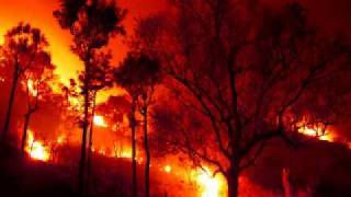 Stevie Nicks - Fire Burning (ZitanB Remix)