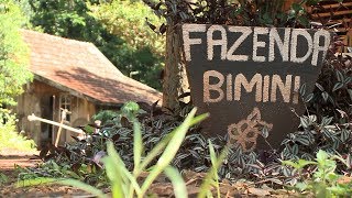 Miniatura do vídeo