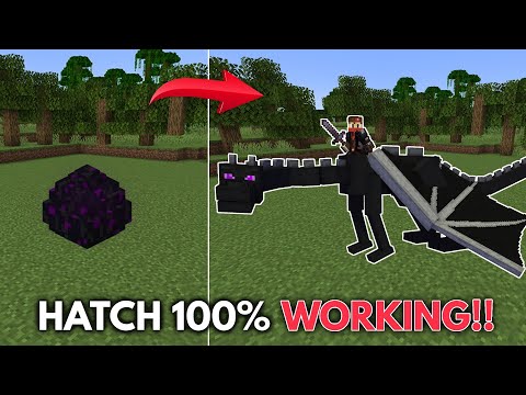 How to hatch Ender dragon in Minecraft Working! (PE/Java/Bedrock)