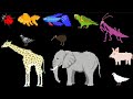 Animal Colors The Kids Picture Show