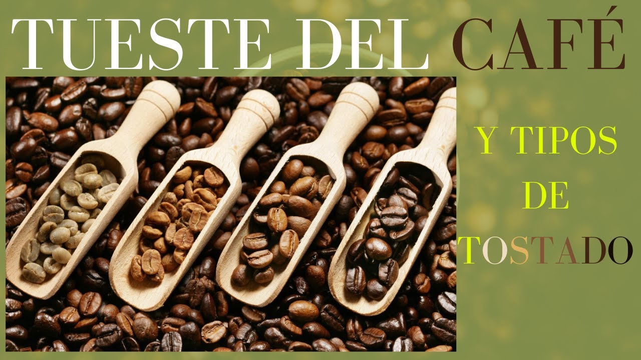 ☕🔥TUESTE del CAFÉ y TIPOS de TOSTADO☕🔥[EXPLICADO]▶[Curso de café]