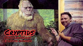 We Met SKUNK APE! | Cryptids: Where Legends Live Ripley’s @ St. Augustine | Bigfoot, Mothman & More!