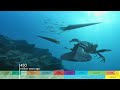 Evolution Timelapse Walking With Monsters Dinosaurs Beasts