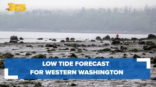 Low tide forecast for western Washington