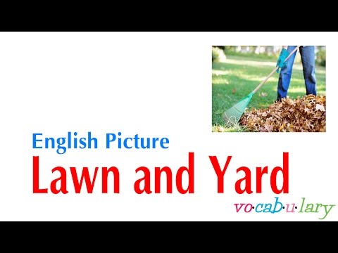 English Picture – Lesson 15 - Name of Lawn and Yard
