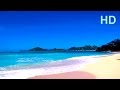 Paradise Beach HD Relaxing Ocean Sounds