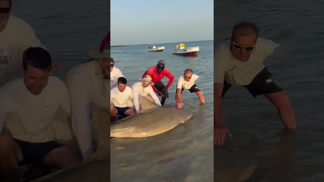 Hôtel Kasa Afrikana