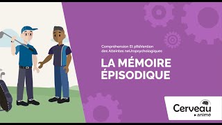 La mémoire épisodique - Cerveau animé - Membres de l'entourage