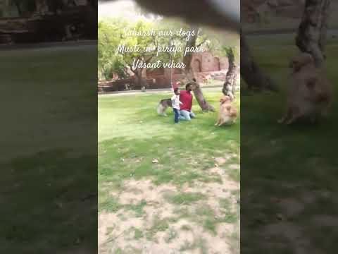 ∆∆∆∆saharsh dogs ke full Masti and enjoy in park Vasant vihar