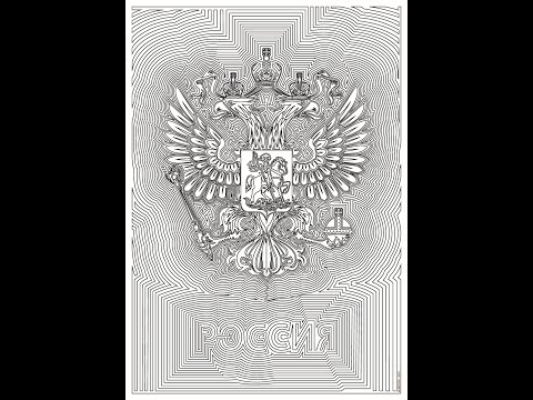 Processo de Criação