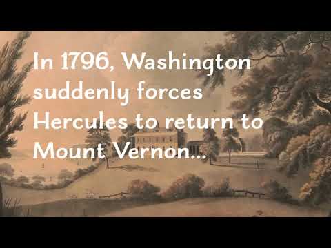 The General's Cook: A Novel