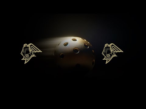 23.3.2025 klo 10:00, P14 Kilpa A: EräViikingit Musta - EräViikingit Blue