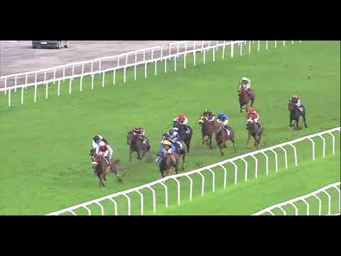 2024.10.20 Premio Gran Criterium (ITA) - Lazio