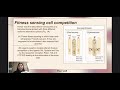 ANTONIO Role Of Cell Competition In Ageing