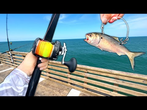 I Caught a GIANT at the End of the PIER!! (Catch and Cook)