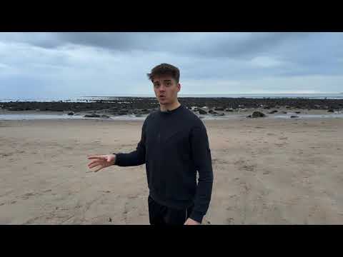 Alex and The Seagull - Making friends at university