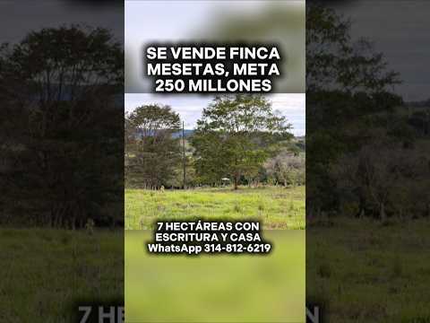 SE VENDE FINCA PEQUEÑA (Mesetas, Meta)