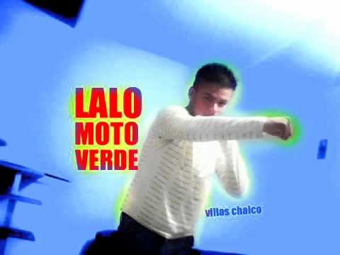 GATA MALCRIA nova y jory