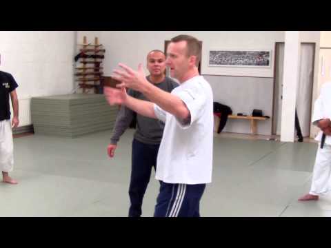 Aikido meets Systema seminar DVD trailer