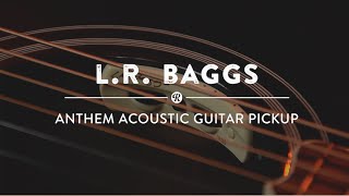 L.R. Baggs Anthem Acoustic Guitar Pickup | Reverb Demo Video