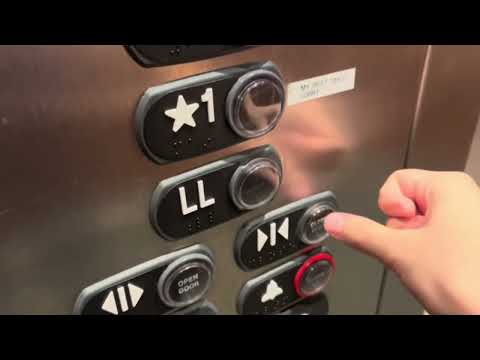 ThyssenKrupp/Marshall Oildraulic Elevator - PGHNNA OFF241 -  Pittsburgh, PA