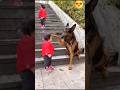 The Cutest Babysitter Ever Baby Dog