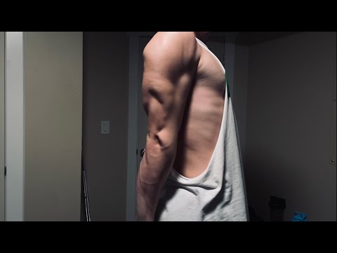 Day 1 Of The Cut - Sam Sulek Arm Day