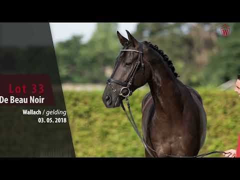Herbst-Auktion Lot 33 De Beau Noir Wallach v. Don Nobless - Fidermark