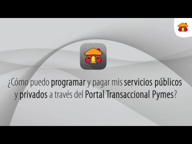 ¿Cómo puedo programar y pagar mis servicios públicos y privados a través del Portal Transaccional?