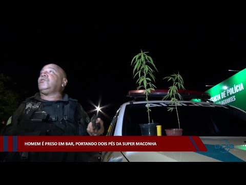 Homem é preso em bar, portando dois pés de super maconha 01 12 2022