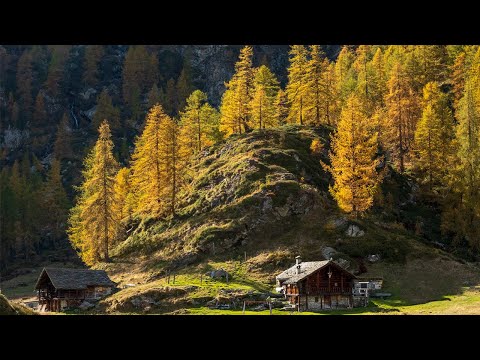 FOLIAGE ALL’ ALPE LARECCHIO | 1910 mt slm #valsesia #escursione