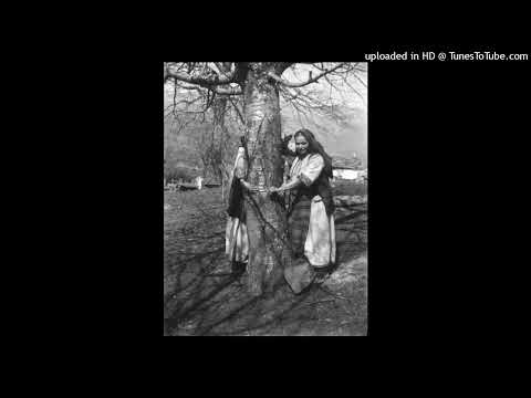 Kučkovki - Pojde Rada na gjerizna voda