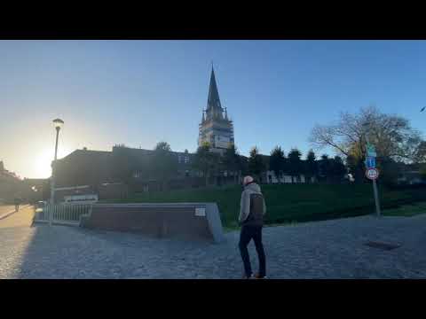 Cyrille Niël-' t Toreleid- De toone van Zitterd