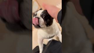 愛犬との再会に大興奮🥹✨