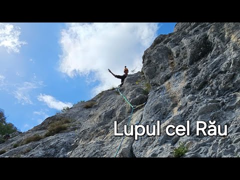 Lupul cel Rau | Peretele Animalelor | Postavaru