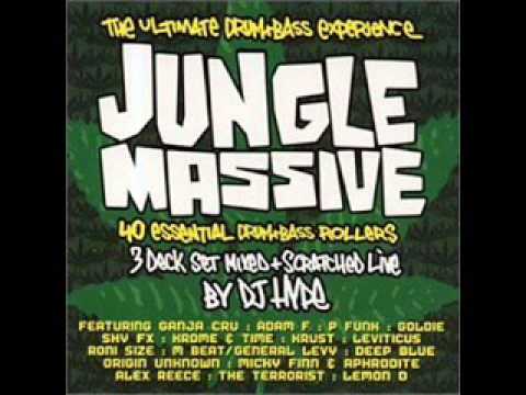 26 Urban Shakedown   Arsonist A K A  Some Justice '95 JUNGLE MASSIVE BY DJ HYPE