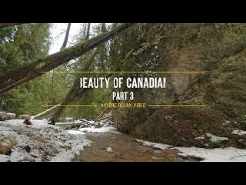 Winter Beauty of Canadian Nature  Scenic Lakes and Waterfalls of Canada