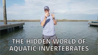 Coastal Kingdom | Season 5, Episode 5 – ‘The Hidden World of Aquatic Invertebrates' | Full Episode