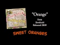 Orange + LYRICS [Official] by Psychostick 
