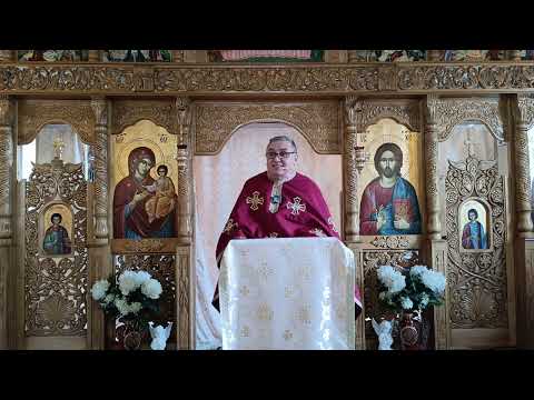 Pr. Nicolae Pavel - Fa-ti ordine in suflet