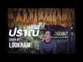 ปราณี Cover By Looknam Looknamwalaipan Artist Thaisong