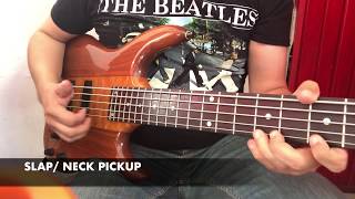 Video thumbnail for KEN SMITH BURNER 5 string demo (Flat EQ) by lalofierro
